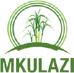 12 Job Vacancies at Mkulazi Holding Company Limited