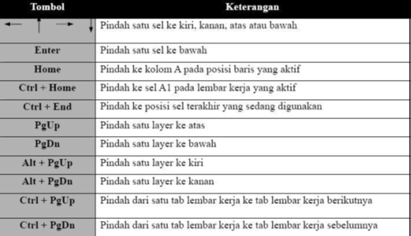  Petunjuk Sel (Cell Pointer) MS Excel