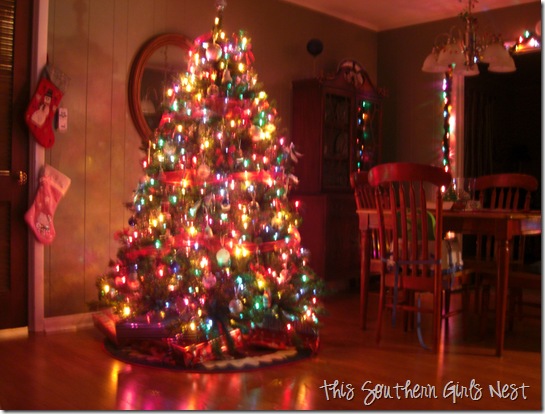 december 2009 015