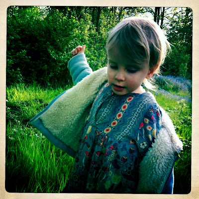 allotment, garden, secret garden