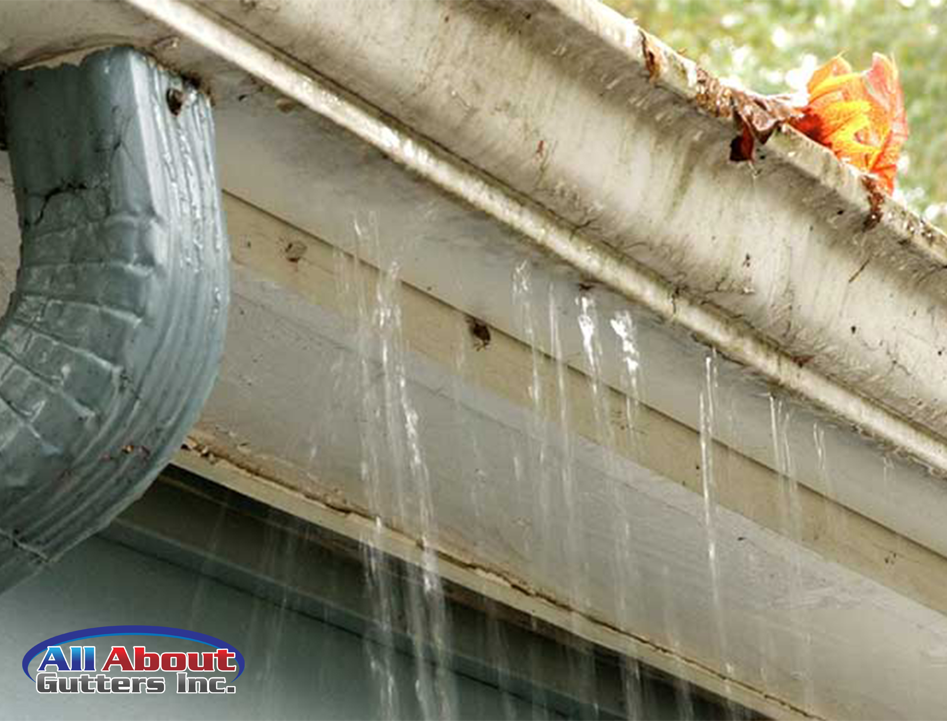 Leak Gutters Repair And Maintenance Services Langley