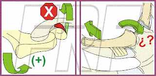 Movimiento, Acromioclavicular, Esternoclavicular