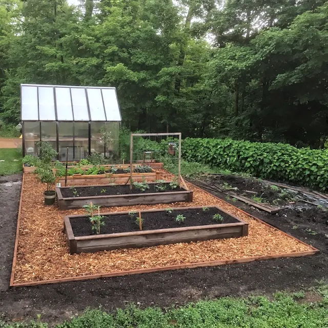 raised beds western red cedar 