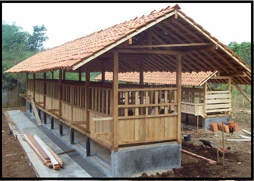 Beternak Kambing Etawa Budidaya Aneka