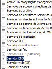 Miguel_Canal_Fraga_dns_win2008_html_m51ae8a45