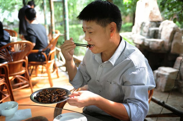 Cockroach Farming is a Booming Business in China