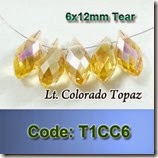 T1CC6 copy