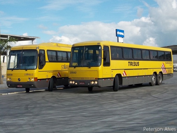 20543 . Tribus
