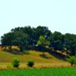 View album