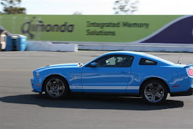 Blue Mustang