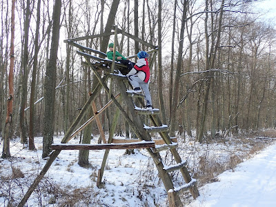 Puszcza Niepołomicka zimą, koniec ferii zimowych 2019, grzyby 2019, grzyby zimą, grzyby pod śniegiem