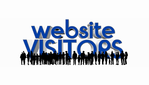 visitors are main component in web traffic known as web visitors