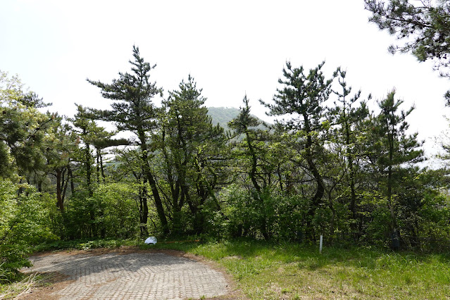 鳥取県西伯郡大山町長田 大平山 電波塔管理道路から孝霊山山頂の眺望