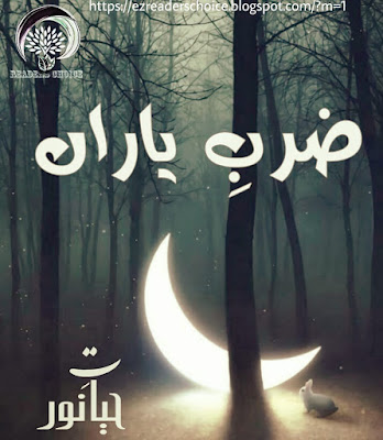 Zarb e Yaraan novel by Hayat e Noor Complete pdf