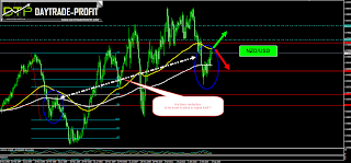 kıwı chart