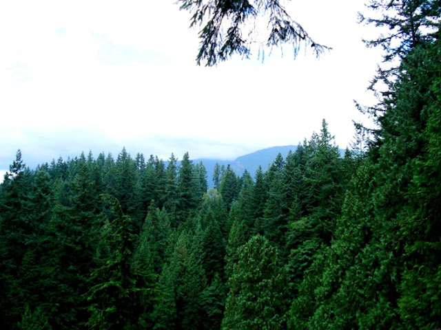 Capilano Cliffwalk Vancouver BC