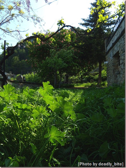 "Primavera en Rocafort"; D.B., 03/05/09 17:23