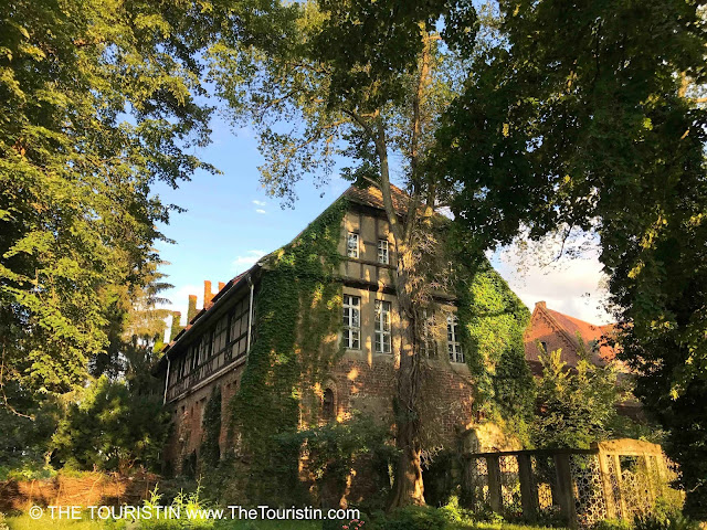 A large timbered house, overgrown with plants in a garden with huge green trees under a blue sky.