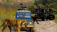 Jim Corbett Safari - Uttarakhand