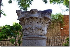 IMG_1162 IMG_1162