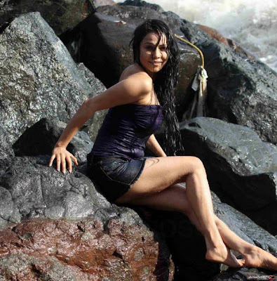 Nikita Rawal Hot Beach Photoshoot