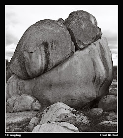 Pejar Creek NSW Landscape, Boulders and Blackberries, monochrome, square format