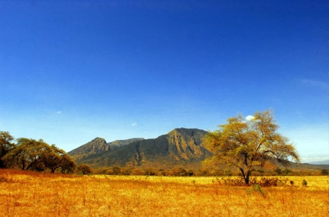 Taman Nasional Baluran Afrika van Java Info Pendidikan 