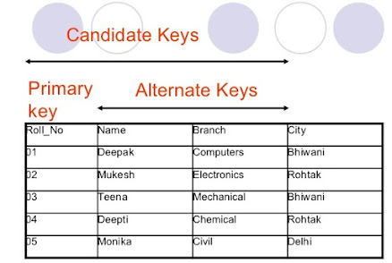 Difference between Primary key vs Candidate Key in SQL Database? Example