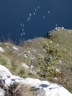 Monte Moregallo e barche a vela sul Lario