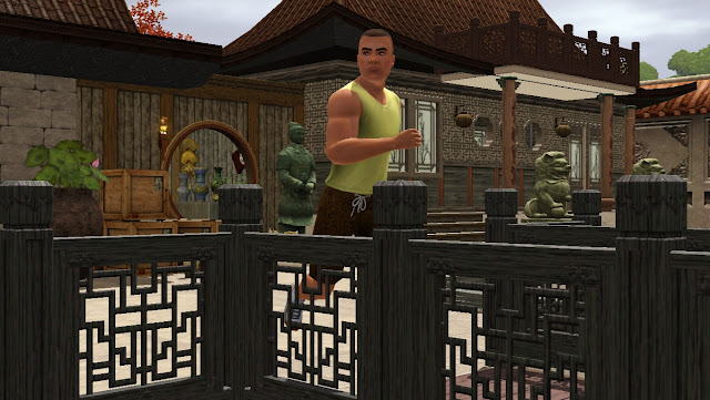 the sims 3