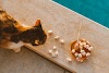  Cat Food in Summer: A Comprehensive Guide for Feline Well-being