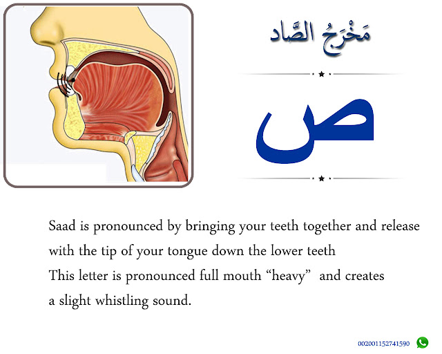 The Articulation Point of Saad