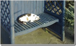 limbering up for summer