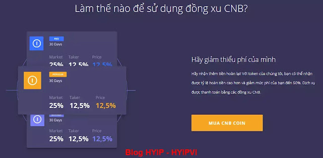 Coinsbit exchange reviews - Coinsbit là gì? Tất cả về coinsbit.io