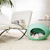 7 Coolest Pet Furniture Items