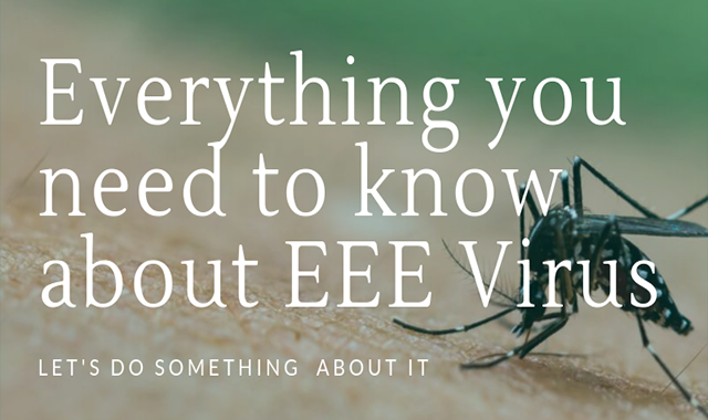 Everything You Need To Know About EEE Virus 