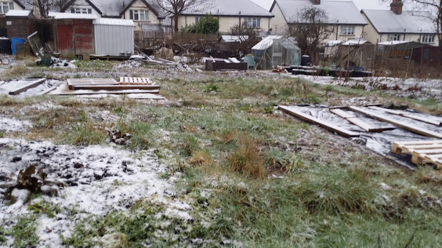 no dig, organic allotment, no-dig, permaculture allotment, no dig beds