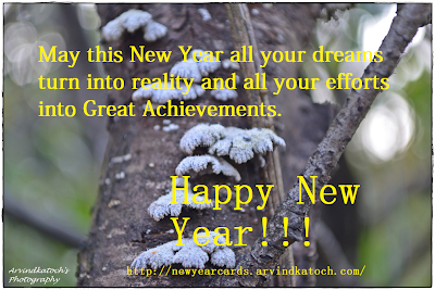 dreams, reality, efforts, Great Achievement, Happy New Year, New Year Card 