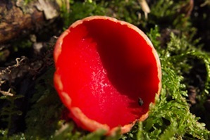 P1040708