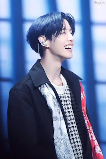 Mark Tuan(GOT7) Facts