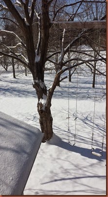 20150217_121344