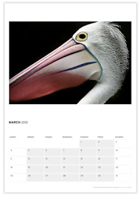 2012 pelican wall calendar