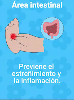 Cómo funciona la reflexoterapia