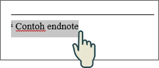 Blok endnote.