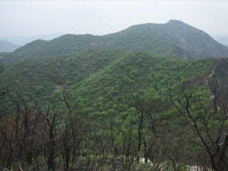 馬の背分岐より高御位山