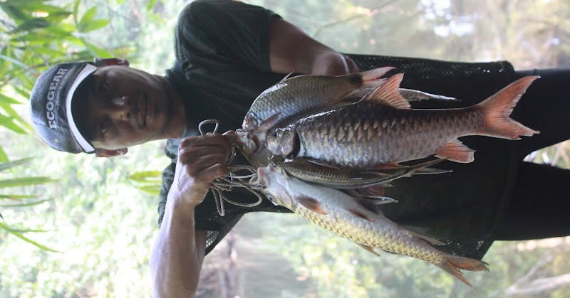 MALAYSIAN FISH HUNTER: Memburu Ikan Kelah Taman Negara 