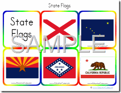 State Flags