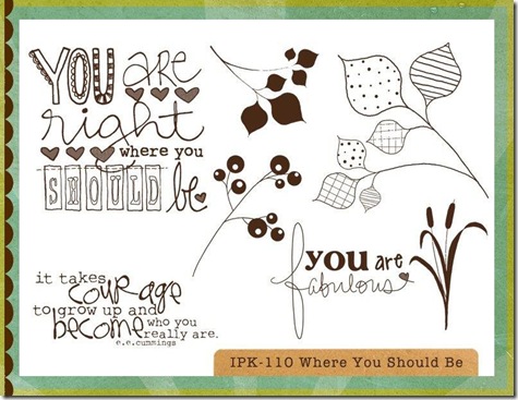 ipk 1101