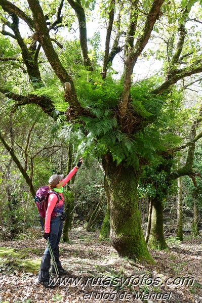 Cascadas del río de los Molinos - Tajo de la Corza - Llanos del Juncal - Pico Luna - Sendero de los Calabozos