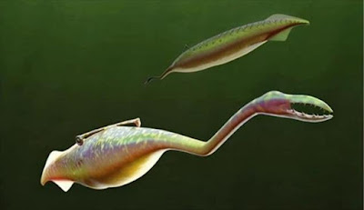 Misteri Tully Monster Akhirnya Terpecahkan